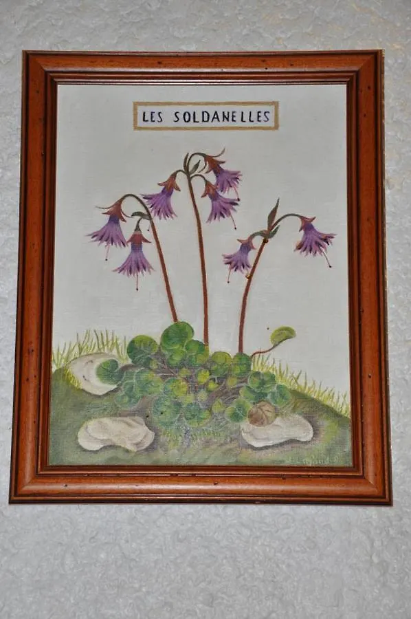Chalet Les Soldanelles Hotel Saint-Gervais-les-Bains France